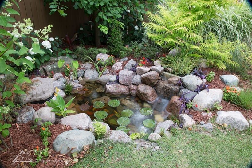 Splash Small Basic Pond Kit - Local Delivery Only - Image 2