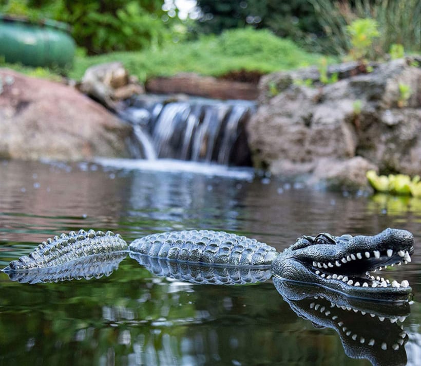 FLOATING ALLIGATOR DECOY - Image 3