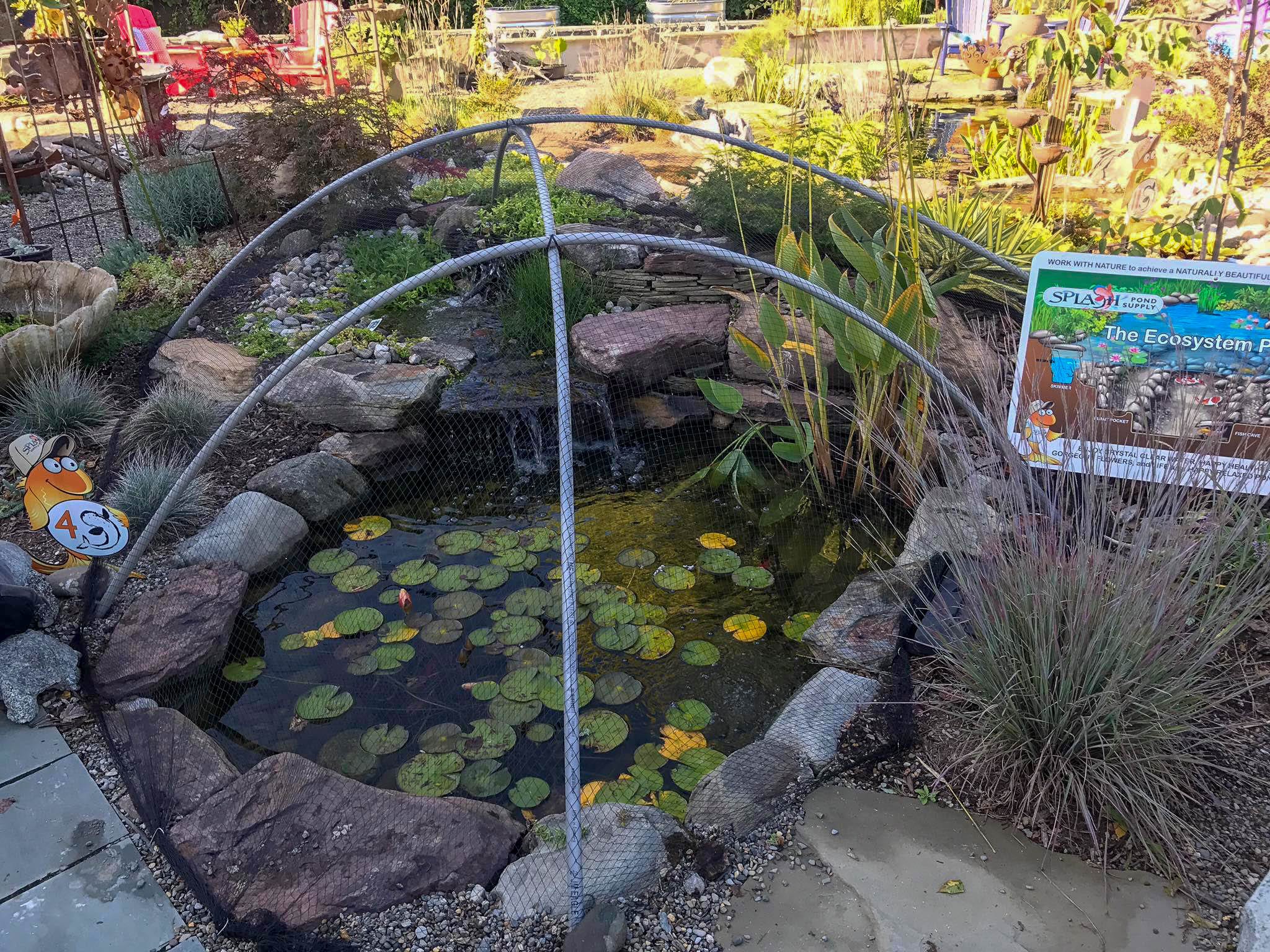 PROTECTIVE POND NETTING - Image 2