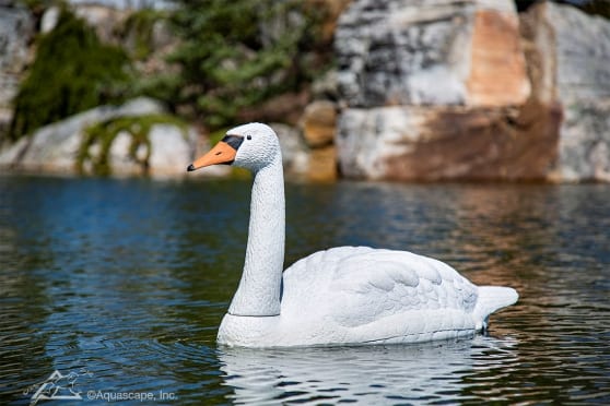 FLOATING SWAN DECOY - Image 2