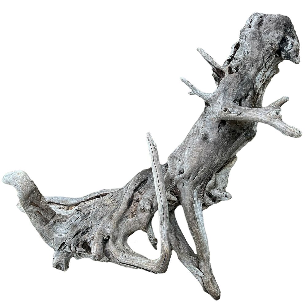 XL Natural Driftwood #21 (55" x 38" x 24")