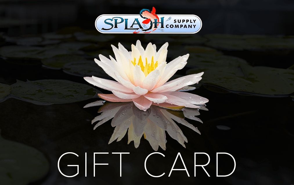 In-Store Gift Cards