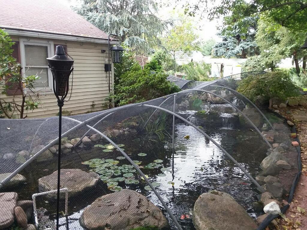 PROTECTIVE POND NETTING - Image 3