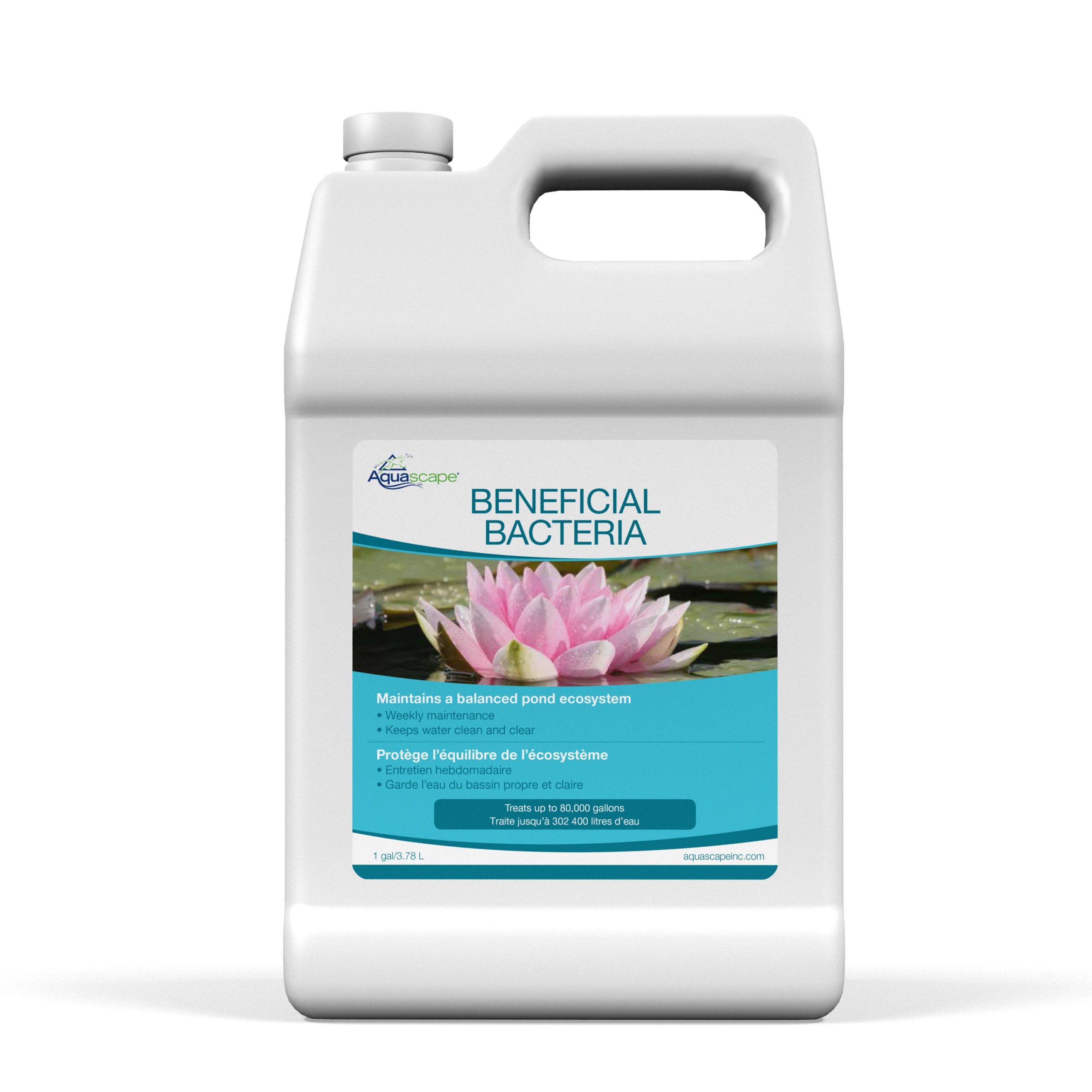 BENEFICIAL BACTERIA - Image 5
