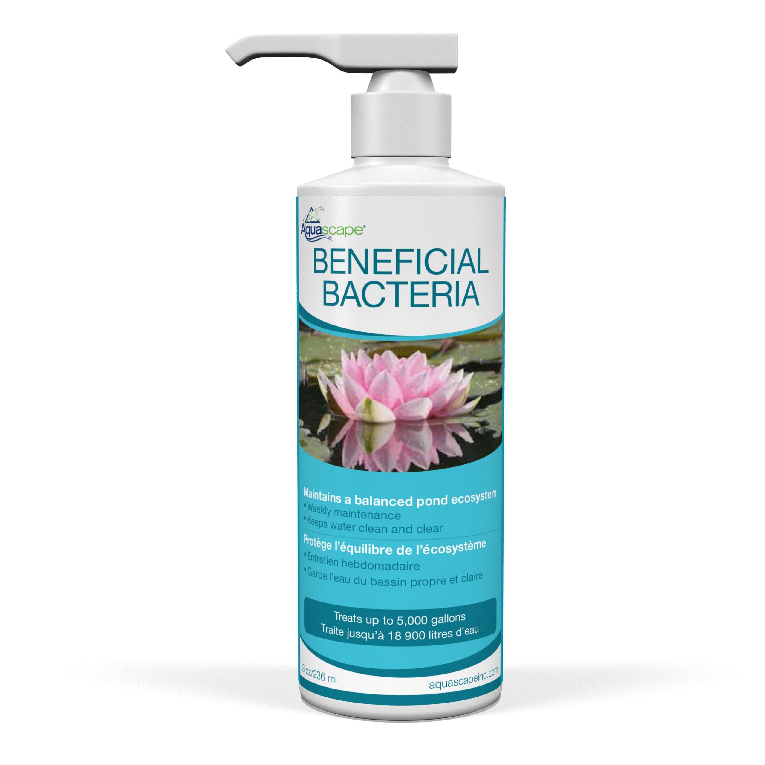 BENEFICIAL BACTERIA - Image 4