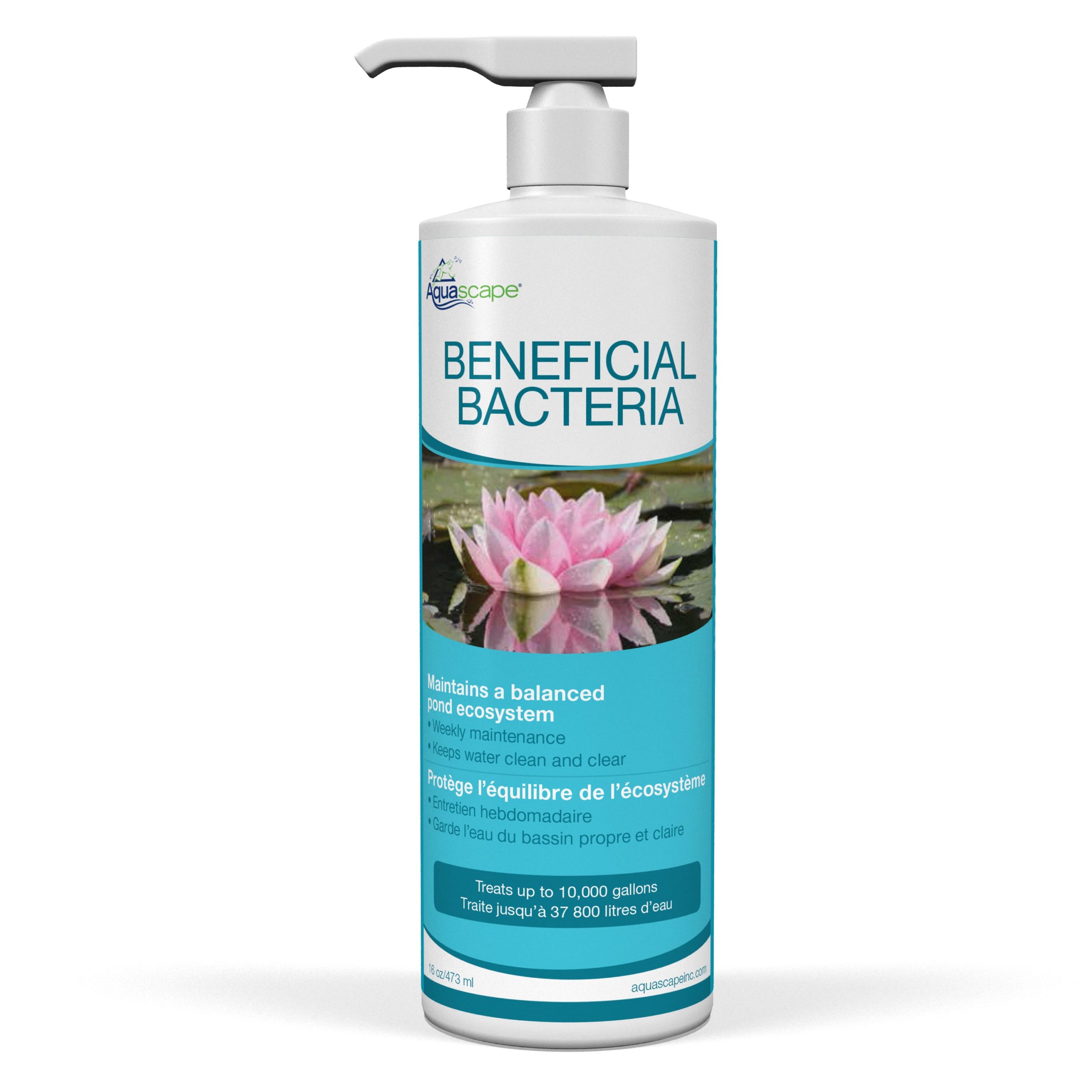 BENEFICIAL BACTERIA - Image 3
