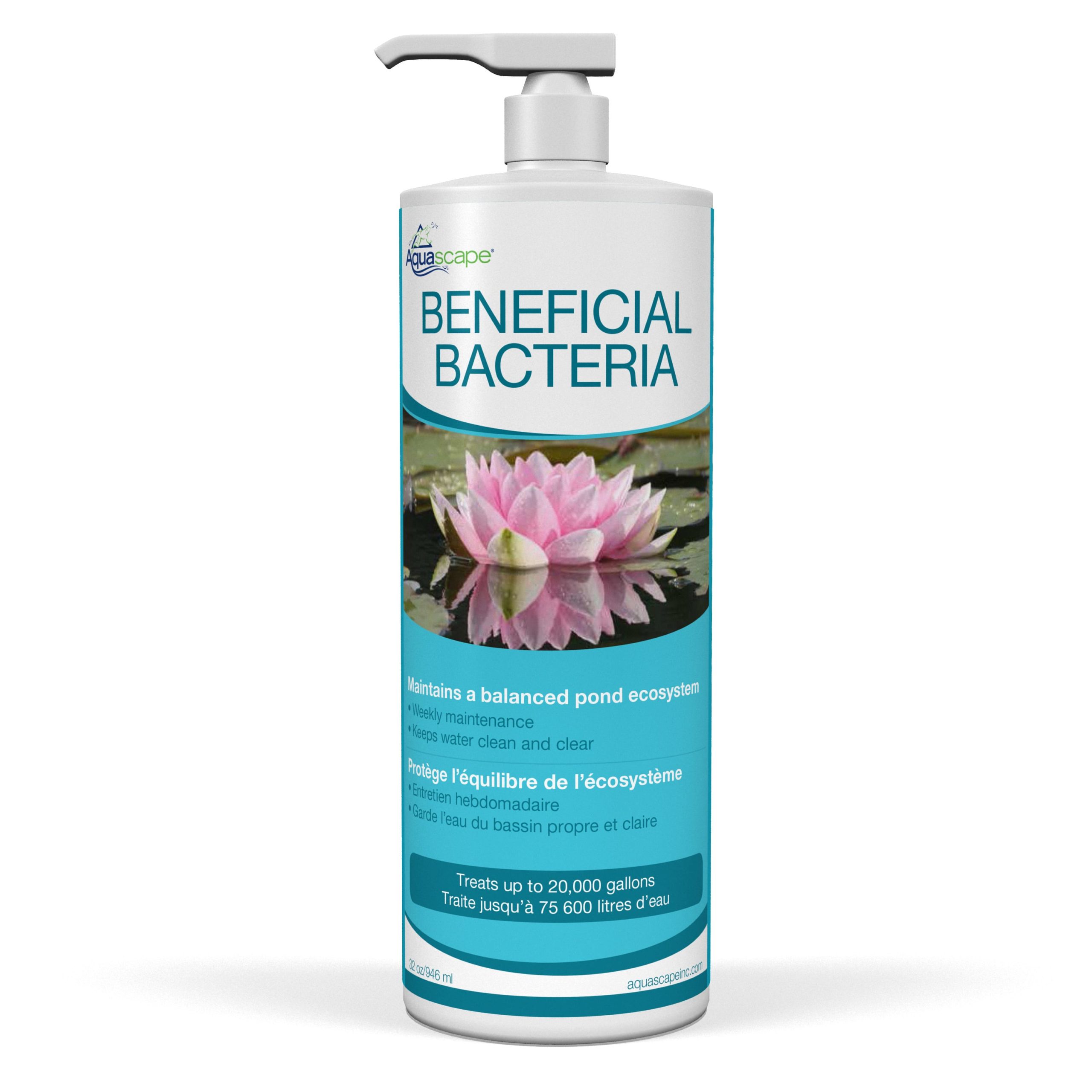 BENEFICIAL BACTERIA - Image 2