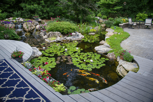 Splash Large Deluxe Pond Kit - Local Delivery Only - Image 2