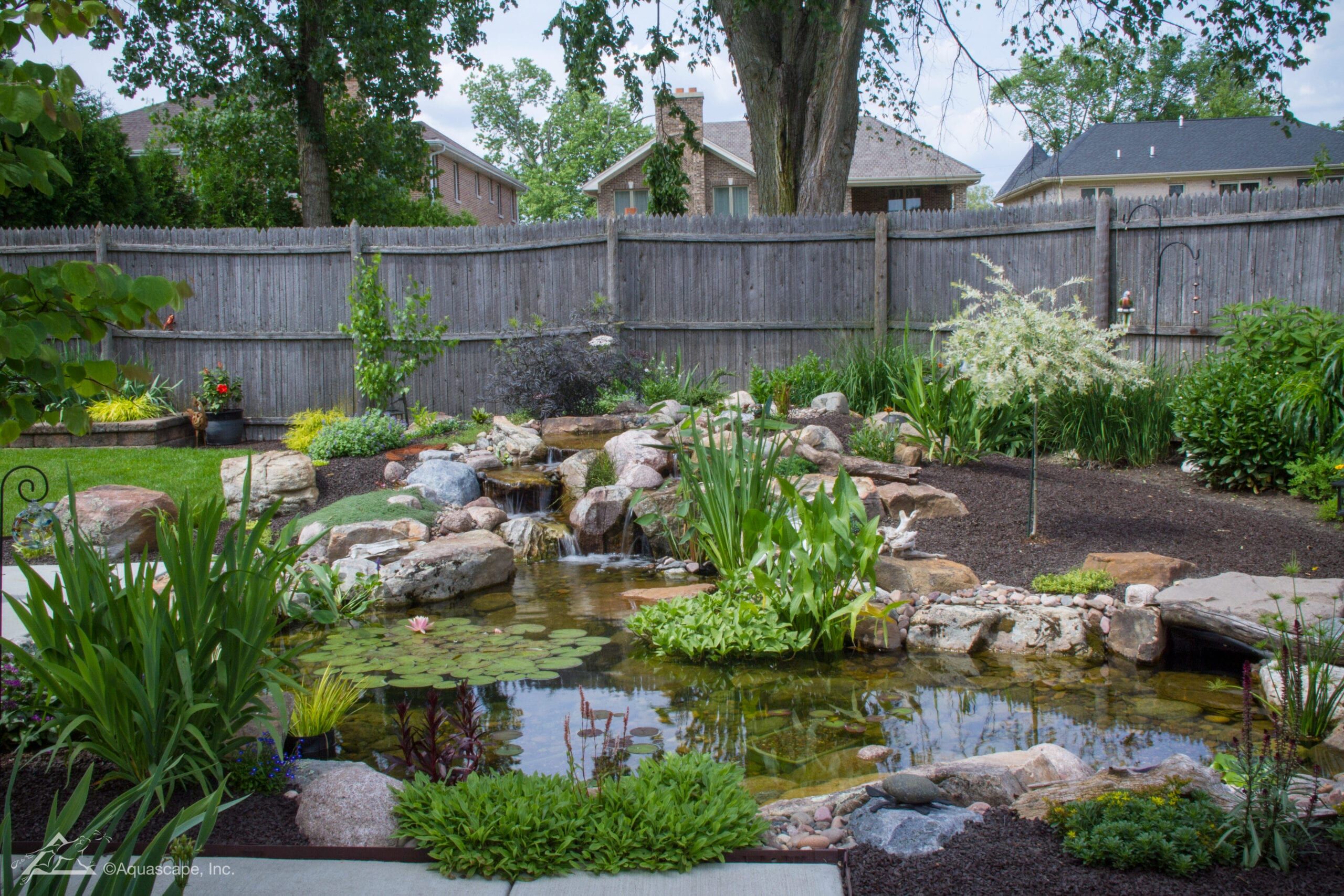Splash Medium Deluxe Pond Kit - Local Delivery Only - Image 2