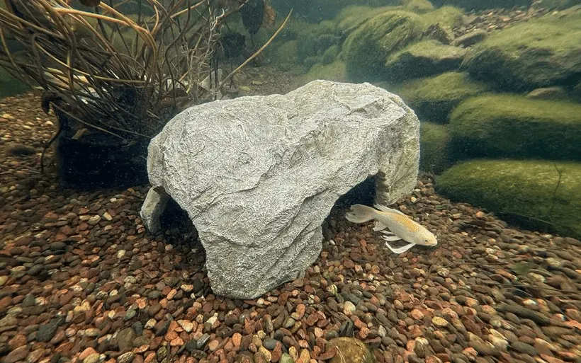 FAUX ROCK FISH CAVE