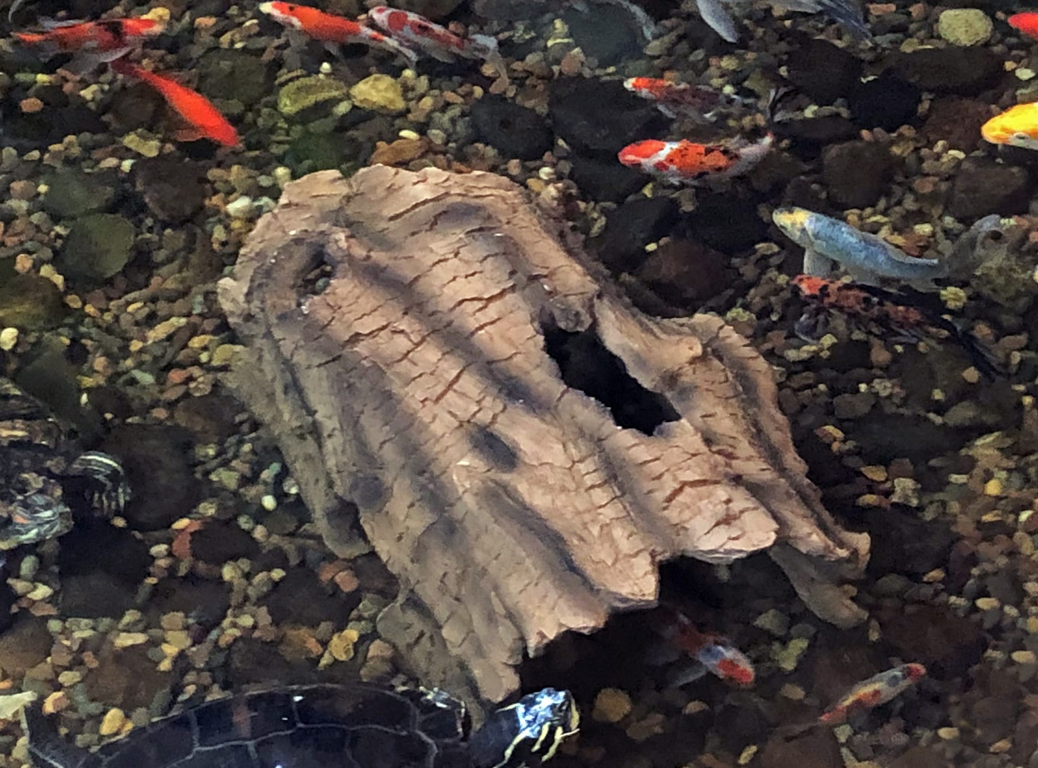 FAUX LOG FISH CAVE - Image 5