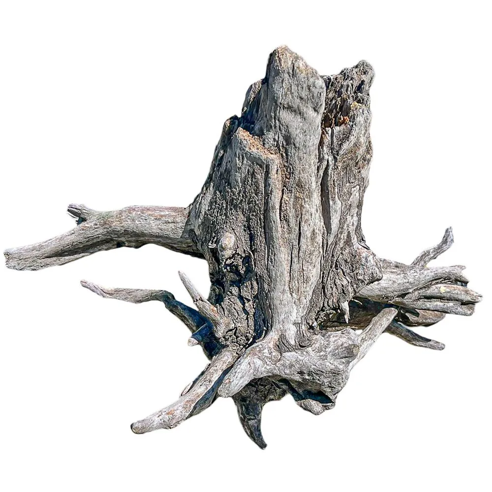 XL Natural Driftwood #7 (16" x 16" x 24")