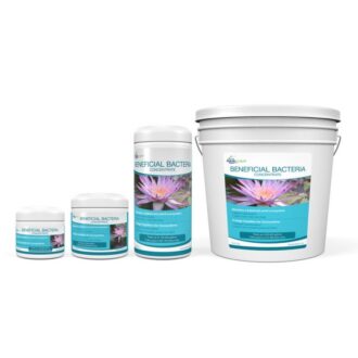 BENEFICIAL BACTERIA CONCENTRATE