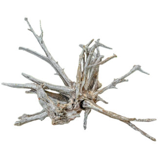 XL Natural Driftwood #11 (45" x 45" x 48")