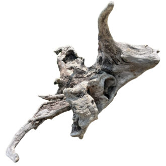 XL Natural Driftwood #4 (26" x 22" x 16")