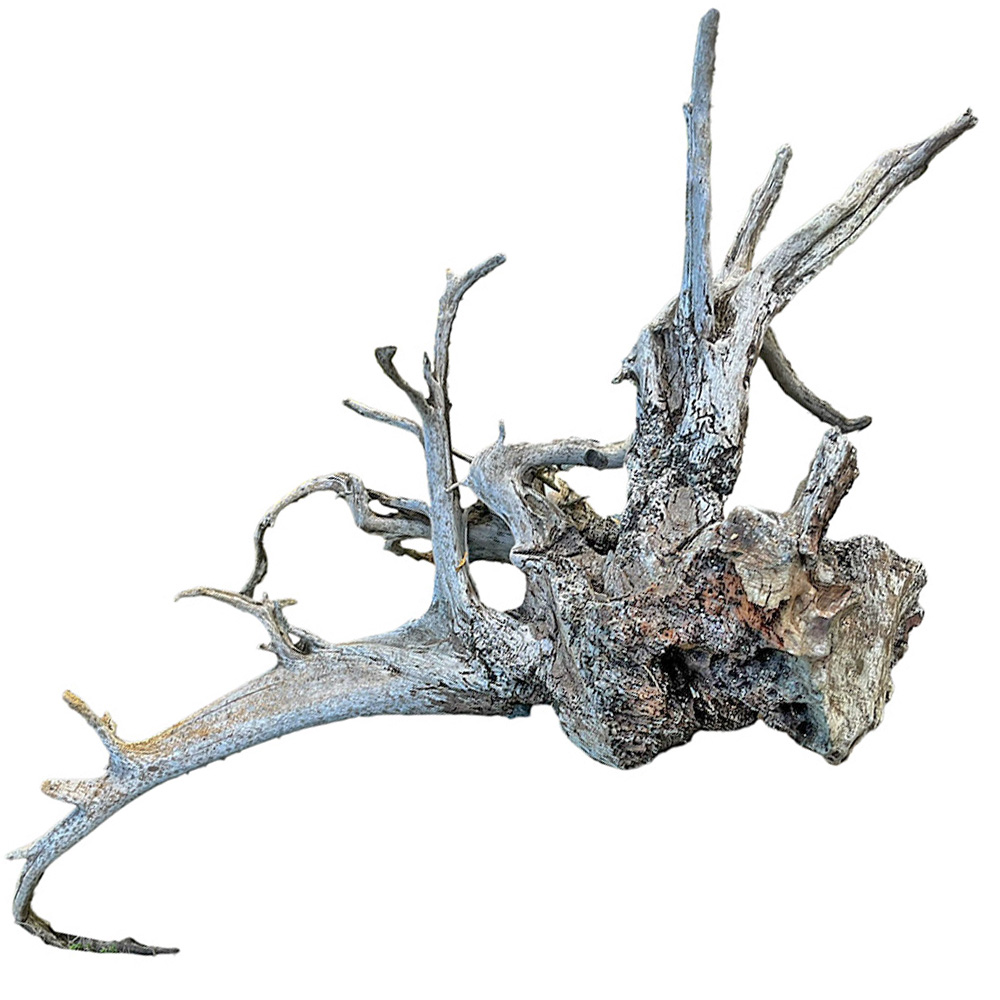 XL Natural Driftwood #6 (67" x 43" x 30")