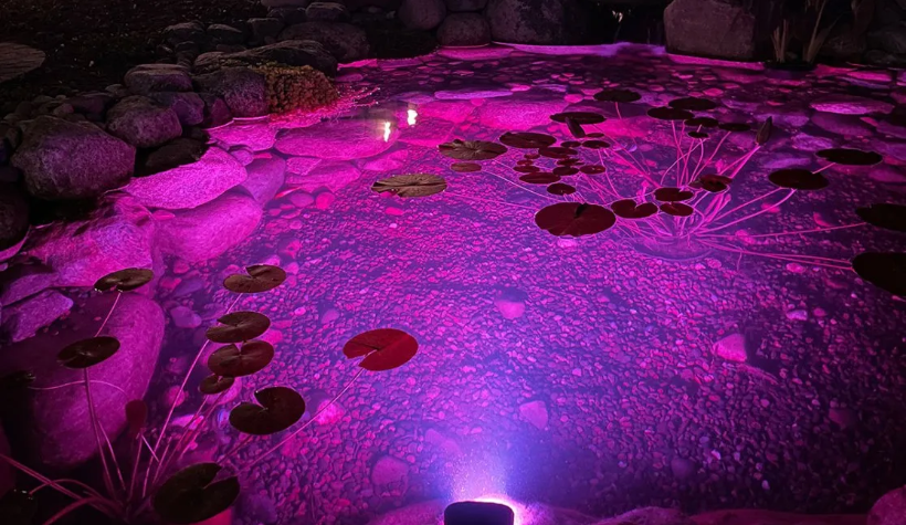 COLOR-CHANGING WIDE-ANGLE LIGHT 11-WATT - Image 2