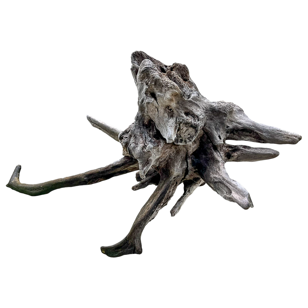 XL Natural Driftwood #15 (37" x 27" x 20") - Image 2