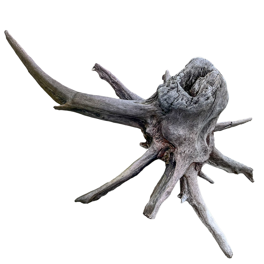 XL Natural Driftwood #16 (44" x 34" x 18") - Image 2