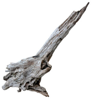 XL Natural Driftwood #17 (42" x 18" x 14")