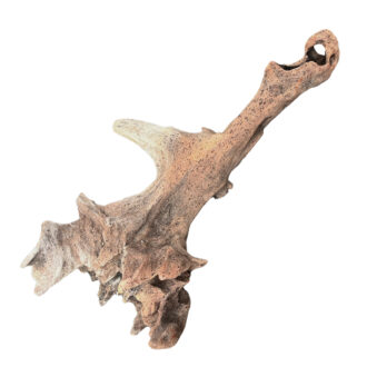 XL Natural Driftwood #19 (21" x 18" x 13")