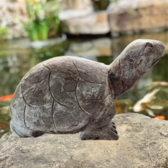Marble Turtle