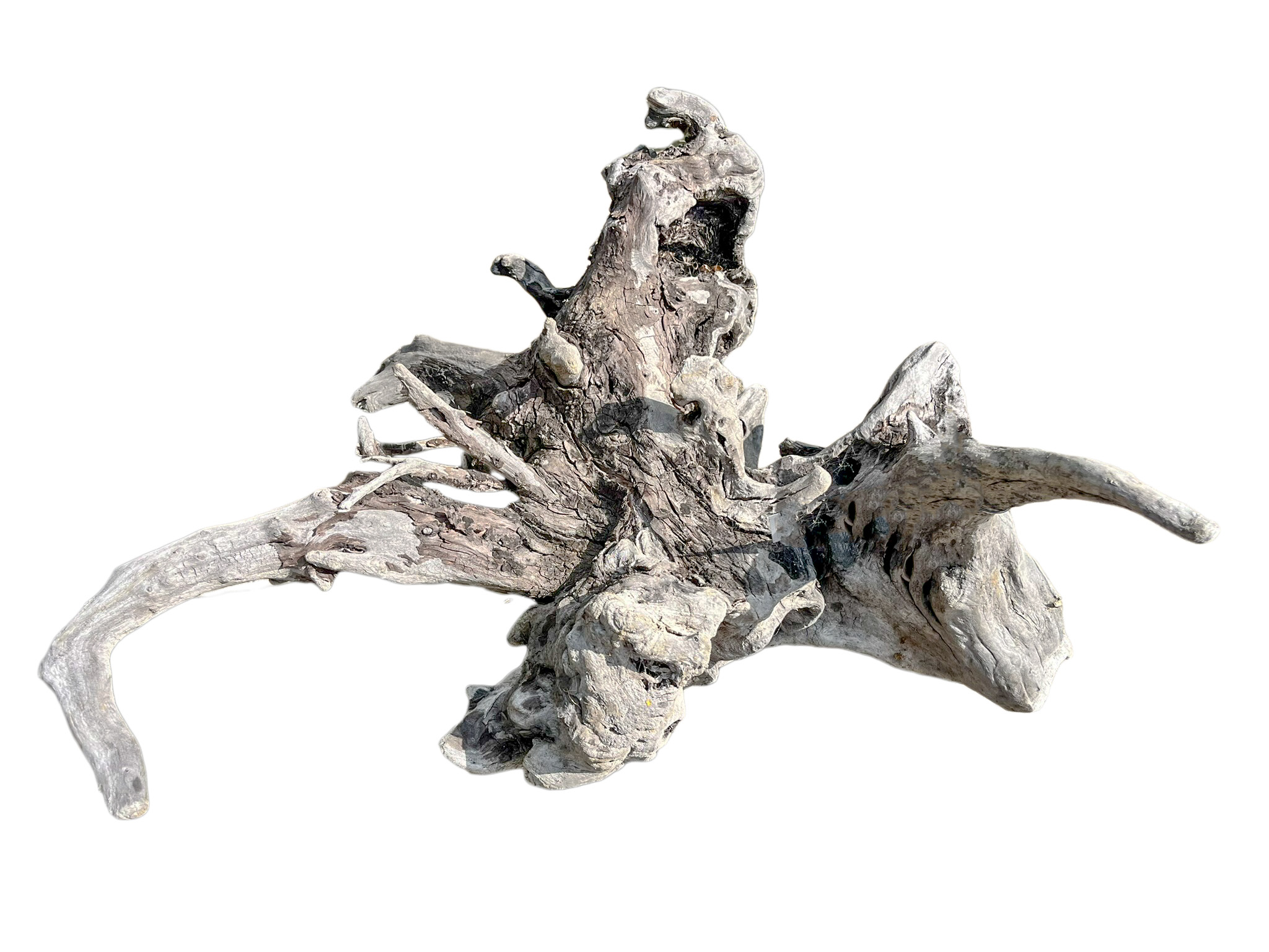 XL Natural Driftwood #4 (26" x 22" x 16") - Image 2