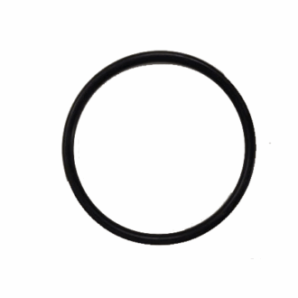 CHECK VALVE ORING 2"