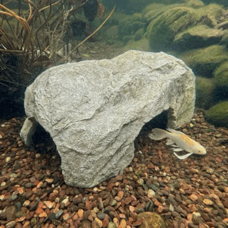 FAUX ROCK FISH CAVE