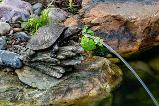 TURTLE ON LOG SPITTER - Image 2