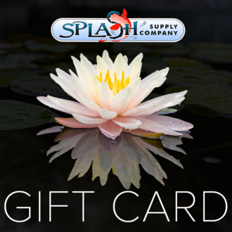 In-Store Gift Cards