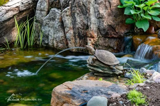 TURTLE ON LOG SPITTER - Image 3